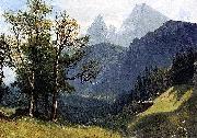 Albert Bierstadt Tyrolean Landscape china oil painting artist